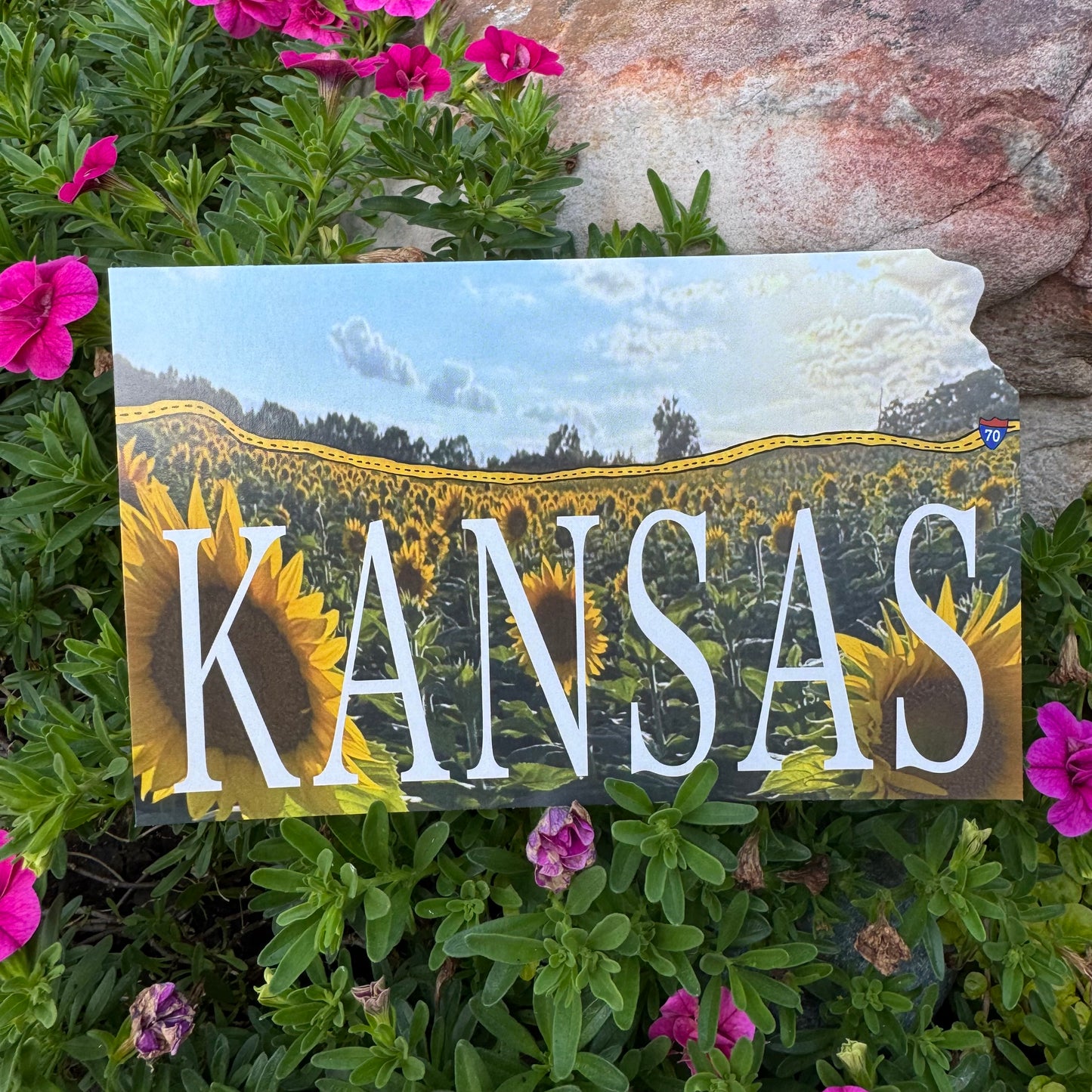 Kansas Sunflowers-I70 Horizon Postcard