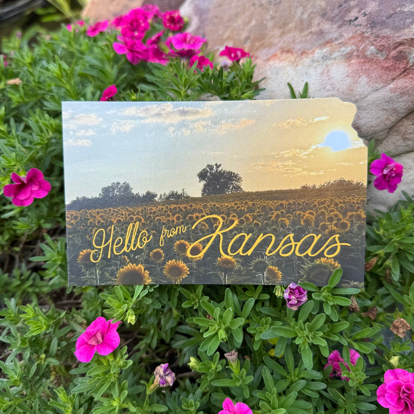 Hello from Kansas-Sunset Postcard