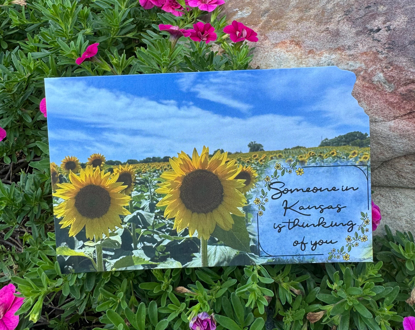 Thinking of you Postcard