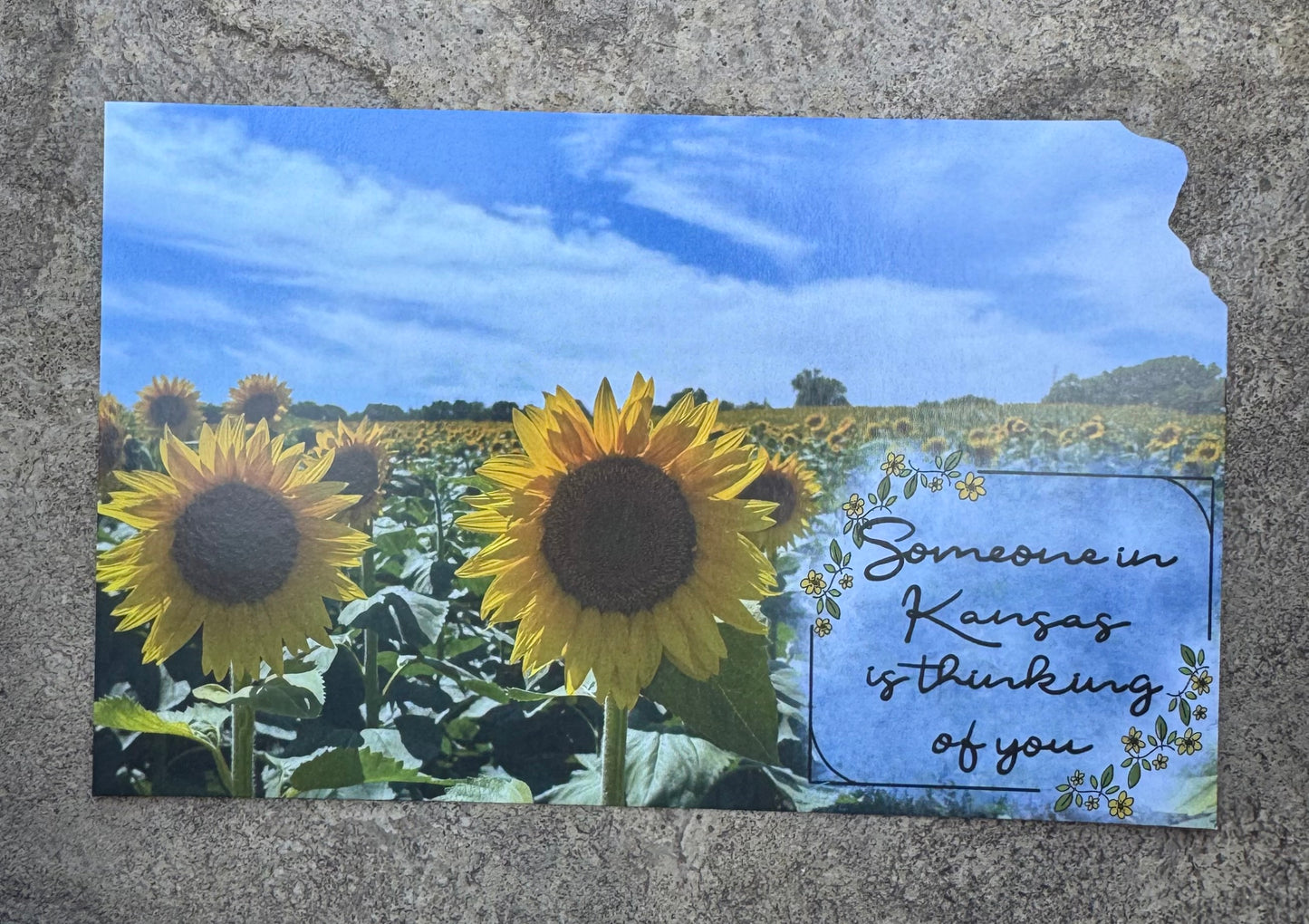Thinking of you Postcard