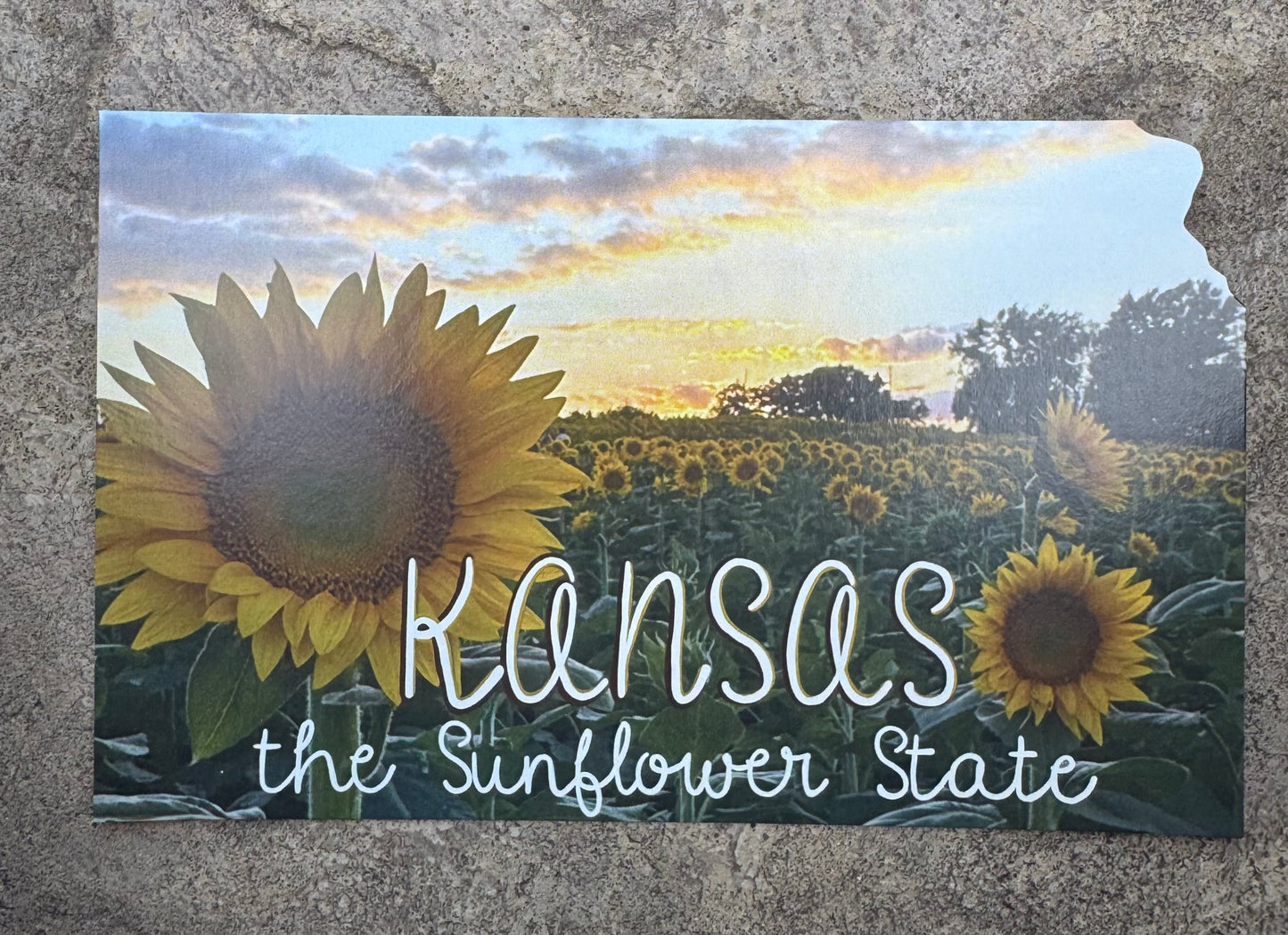 Sunflower State Sunset Postcard