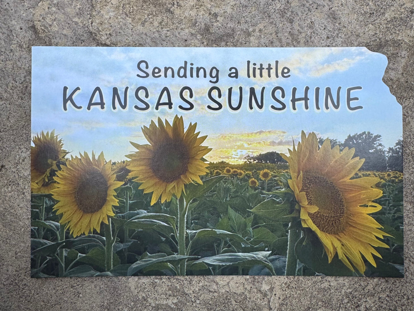 Sending Kansas Sunshine Postcard