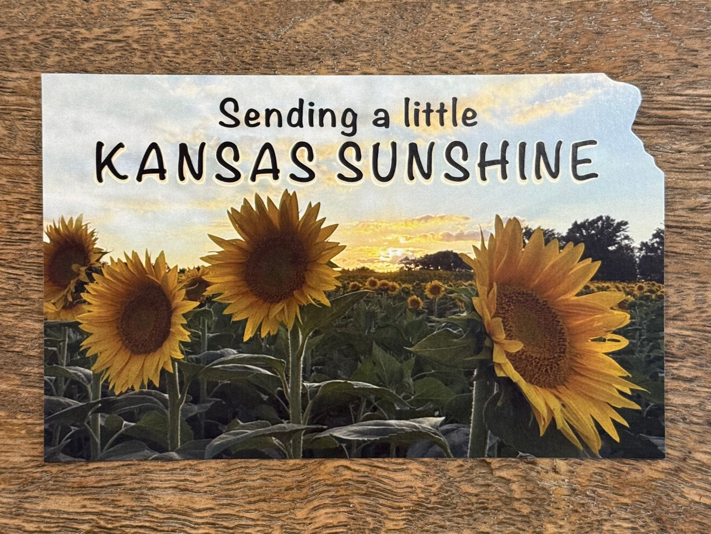 Sending Kansas Sunshine Postcard