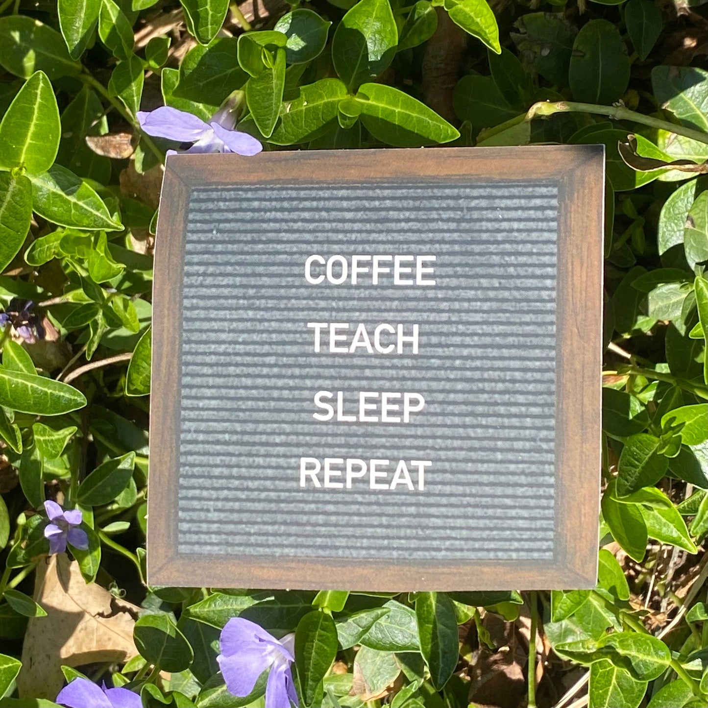 "COFFEE. TEACH. SLEEP. REPEAT” felt board sticker