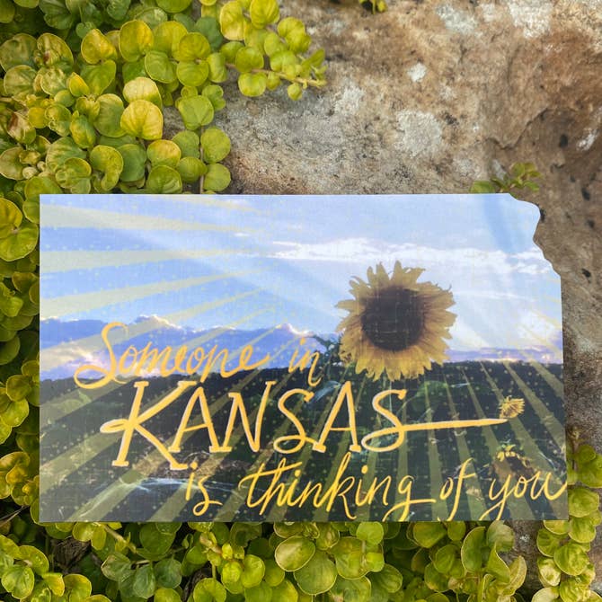 Thinking of you from Kansas Sunflower Field Postcard