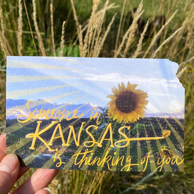 Thinking of you from Kansas Sunflower Field Postcard