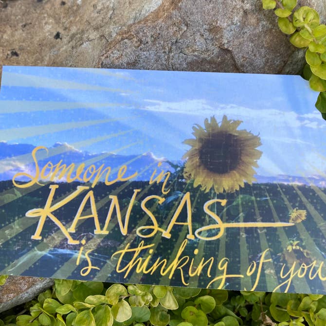 Thinking of you from Kansas Sunflower Field Postcard