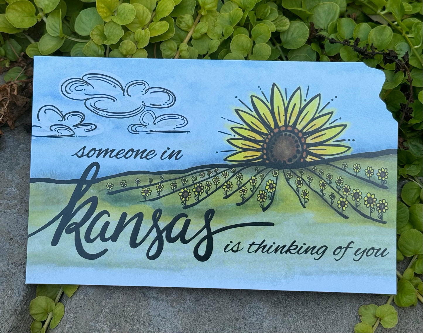 “Thinking of you” Kansas Sunflower Sunset Postcard