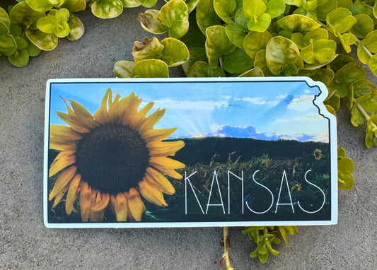 State of Kansas Sunflower Sticker