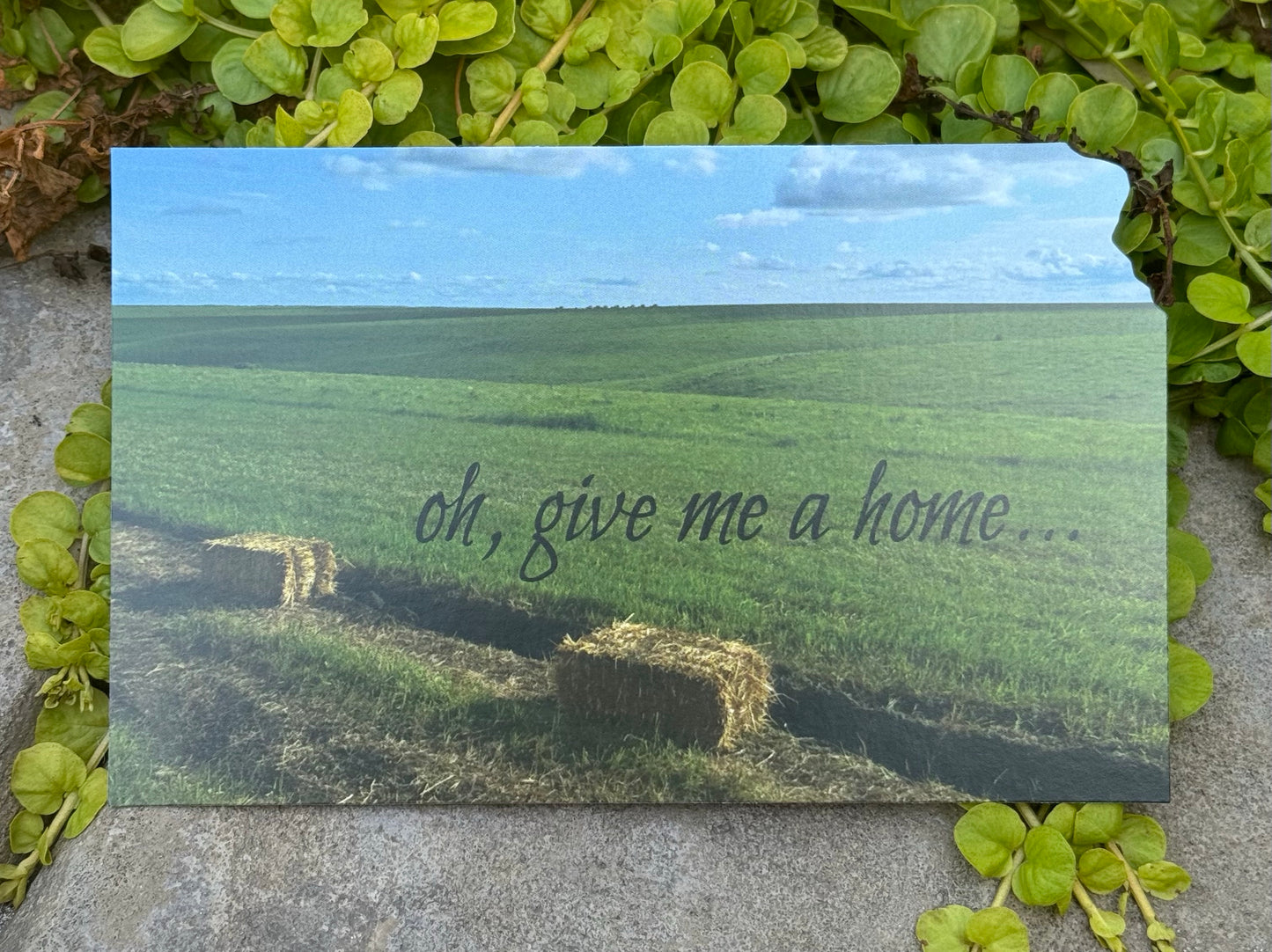 “Oh, Give me a Home” Kansas Postcard