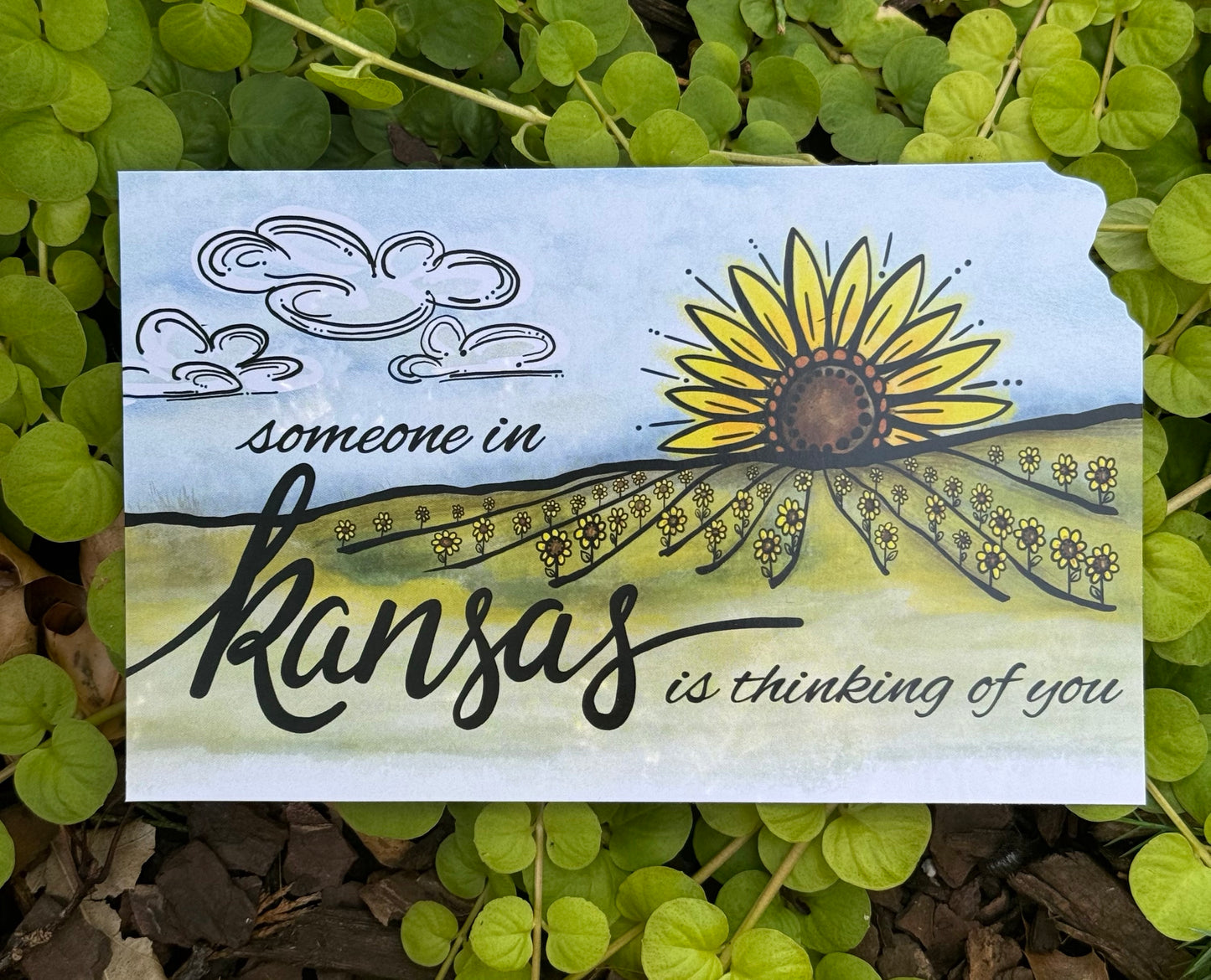 “Thinking of you” Kansas Sunflower Sunset Postcard