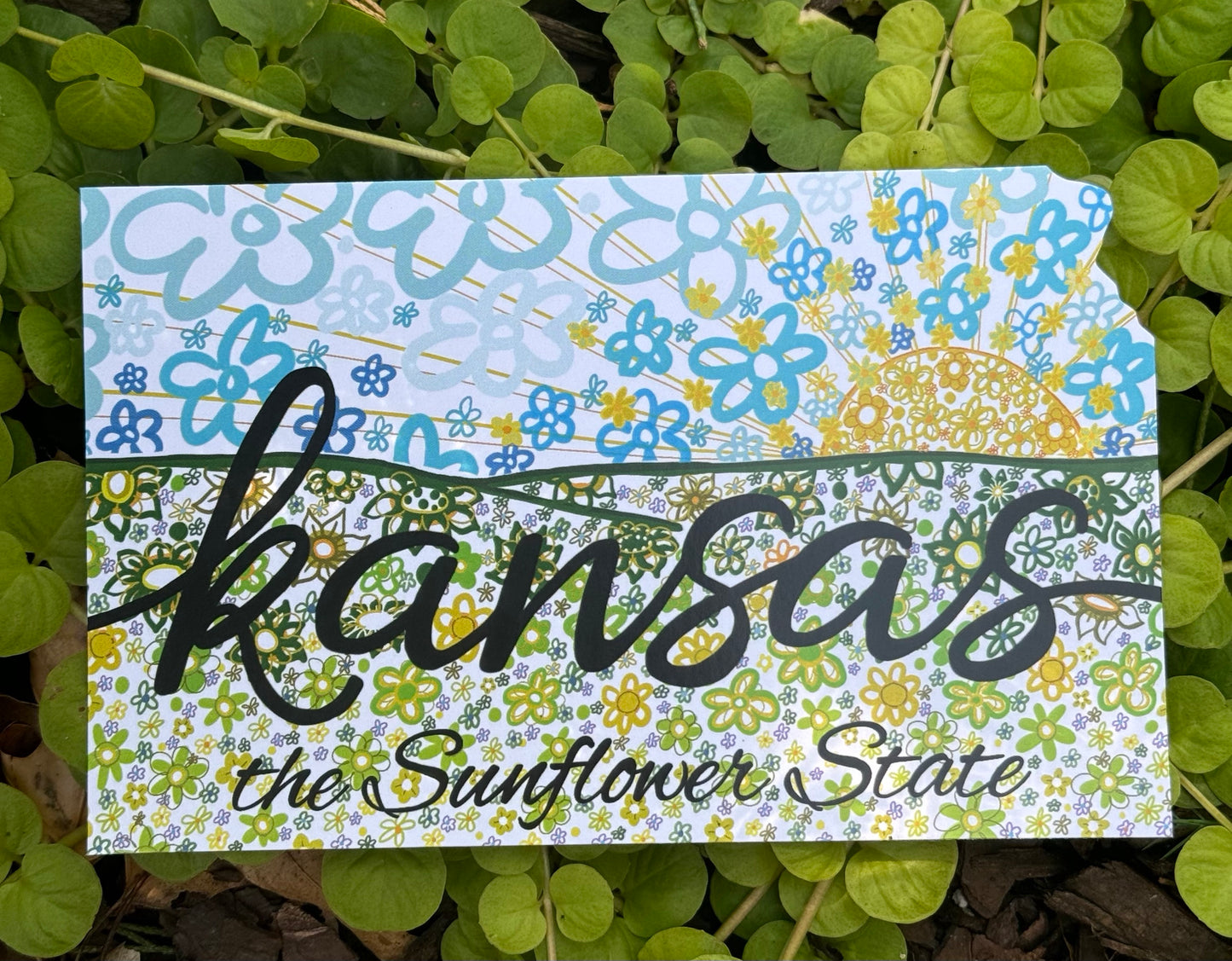 Kansas Sunflower Art Postcard