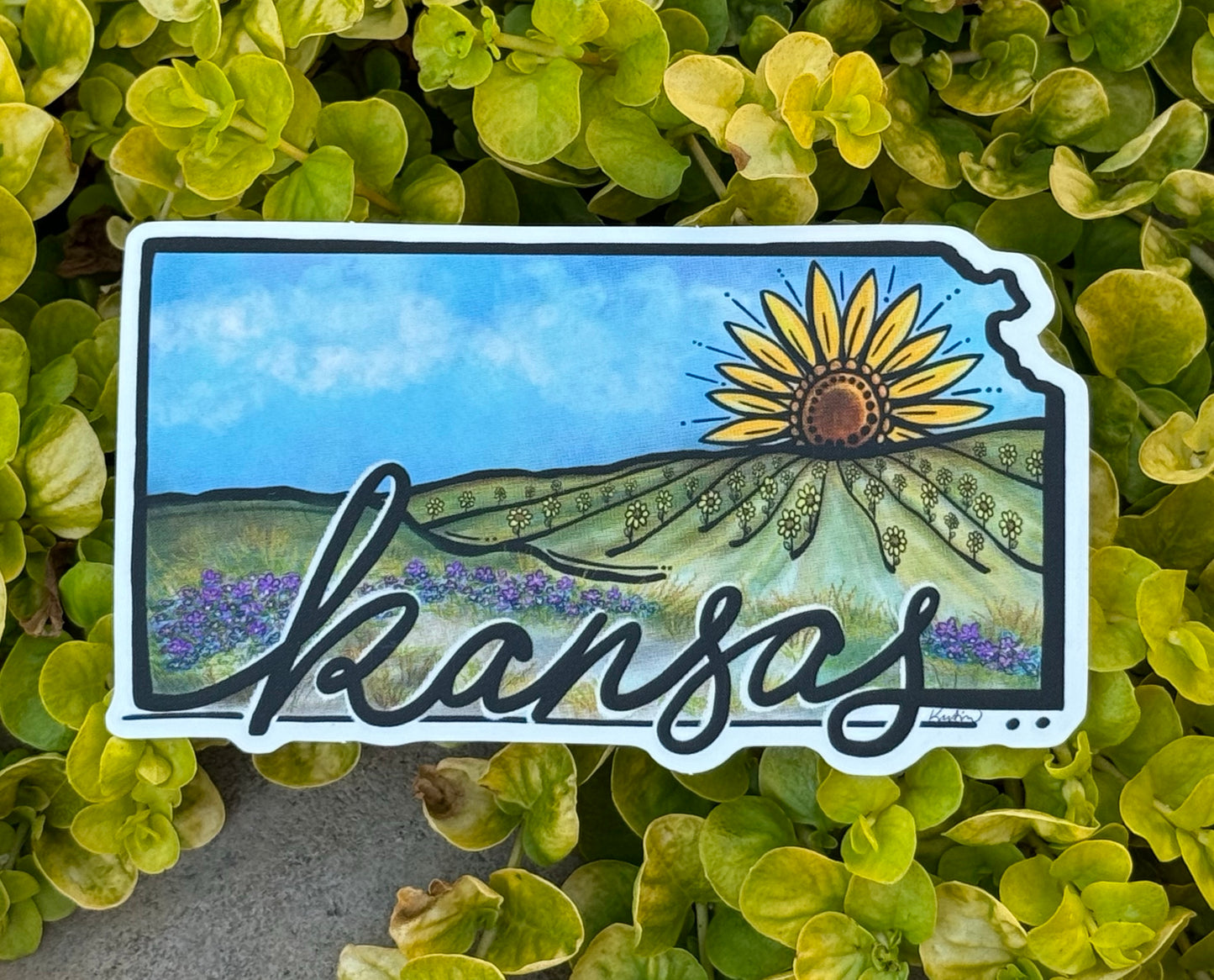 Painted Kansas Sunflower Sunset Sticker