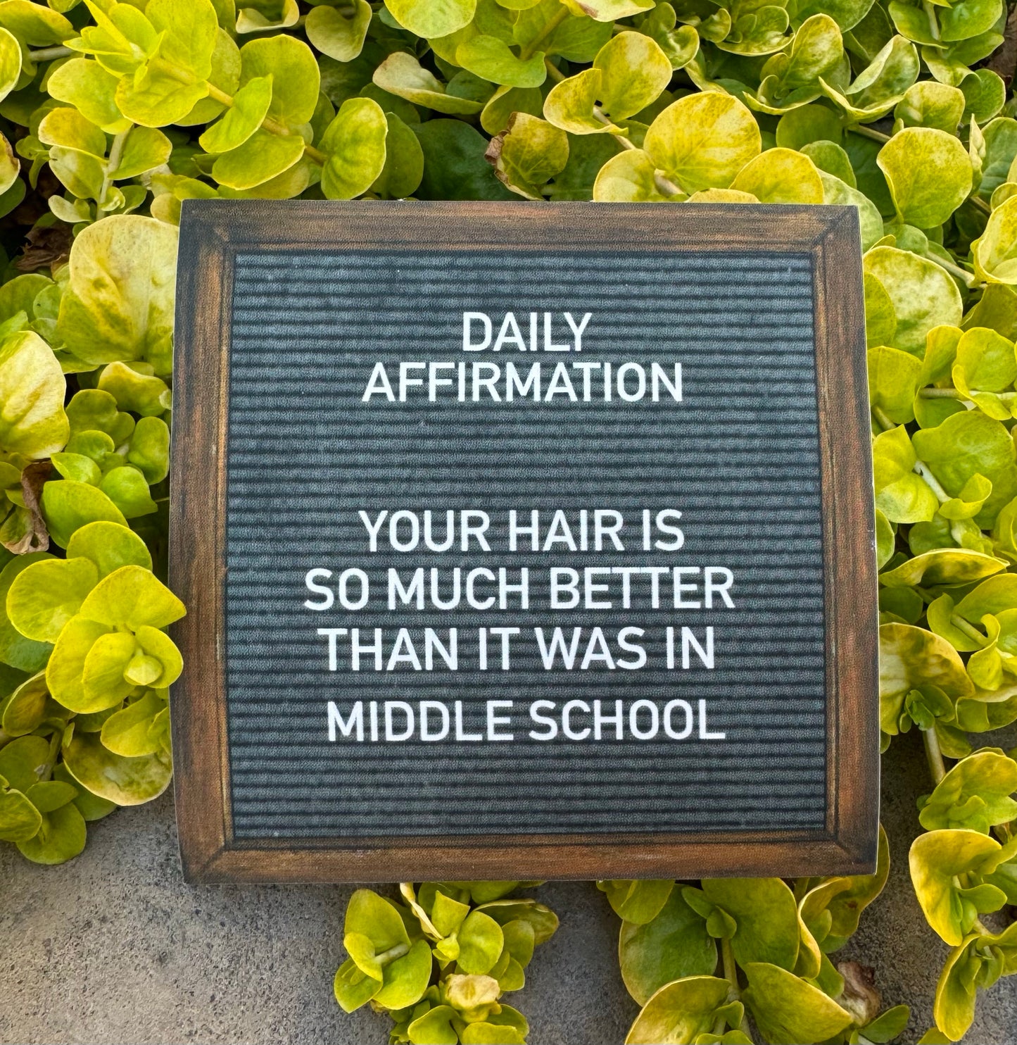 "Daily Affirmation" Sticker