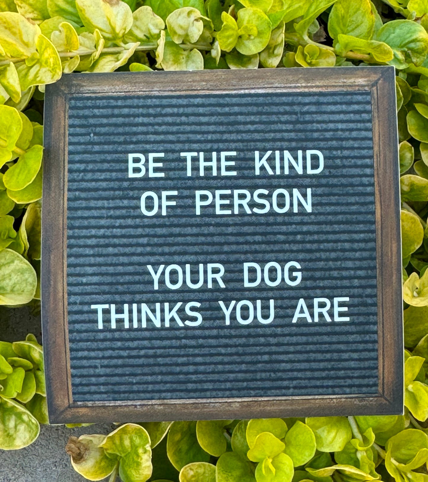 "Be the Kind of Person Your Dog Thinks You Are" Sticker