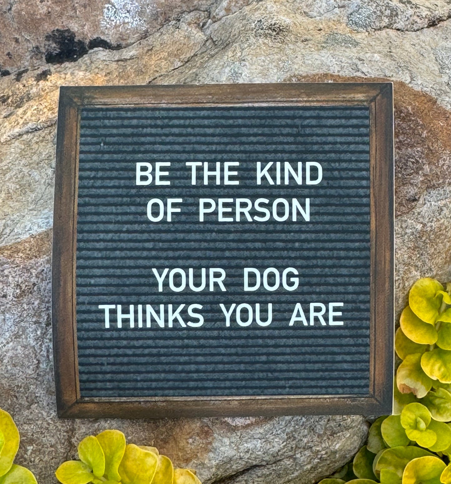 "Be the Kind of Person Your Dog Thinks You Are" Sticker