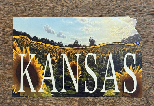 Kansas Sunflowers-I70 Horizon Postcard