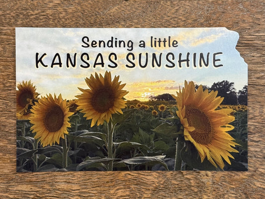 Sending Kansas Sunshine Postcard
