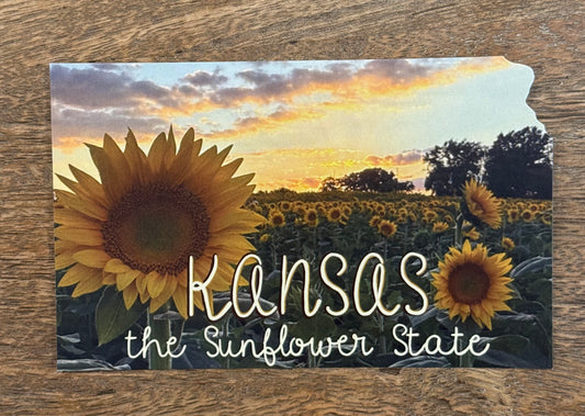 Sunflower State Sunset Postcard