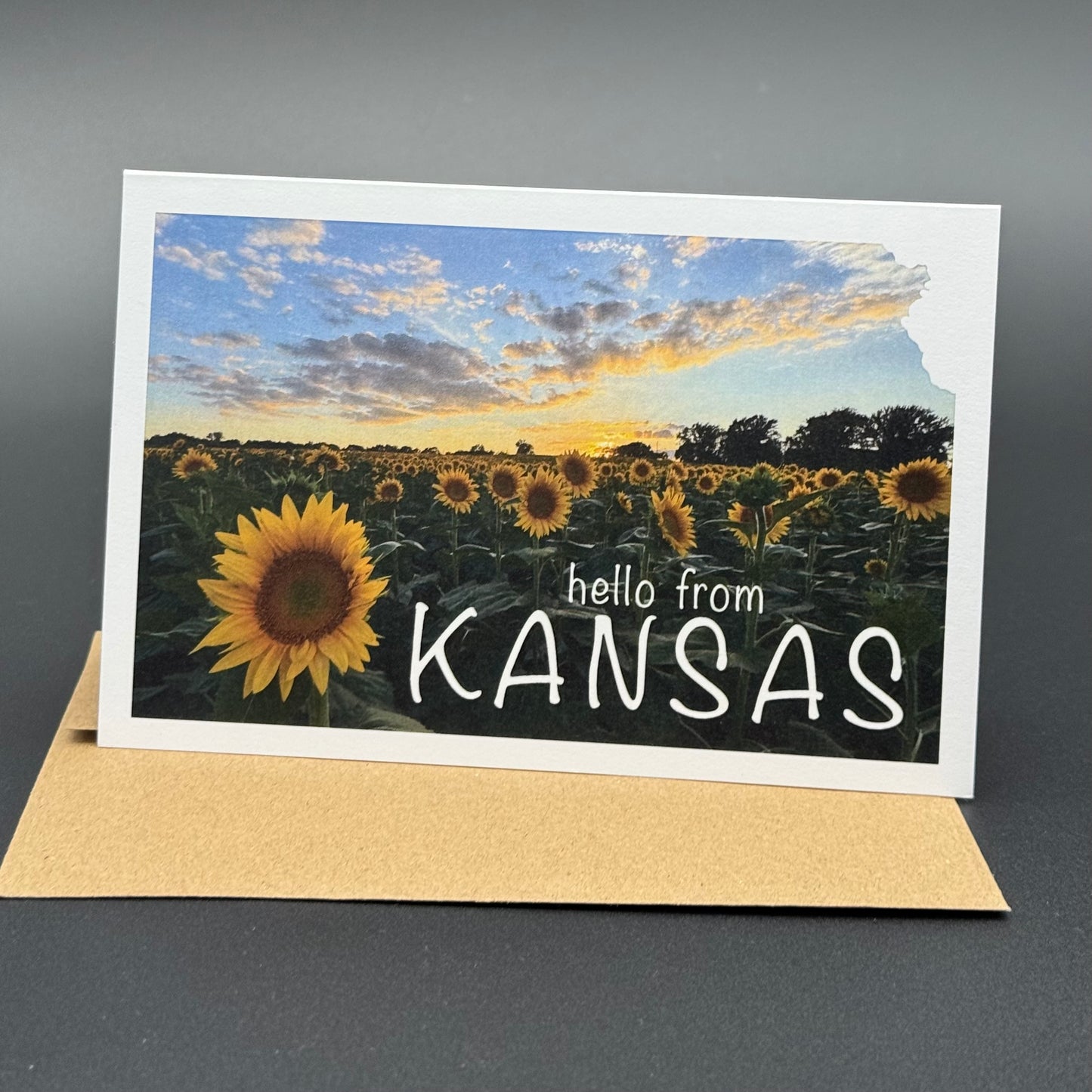 Hello from Kansas-Colorful Sunflower Sunset