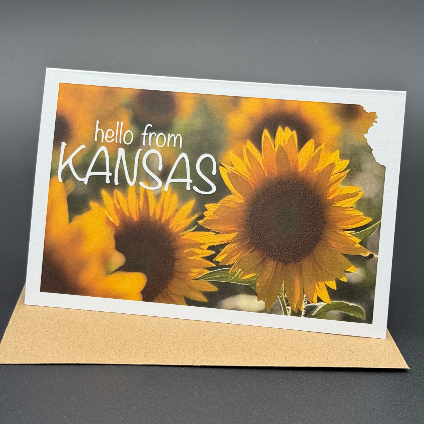 Hello from Kansas Sunflower Greeting Card Set