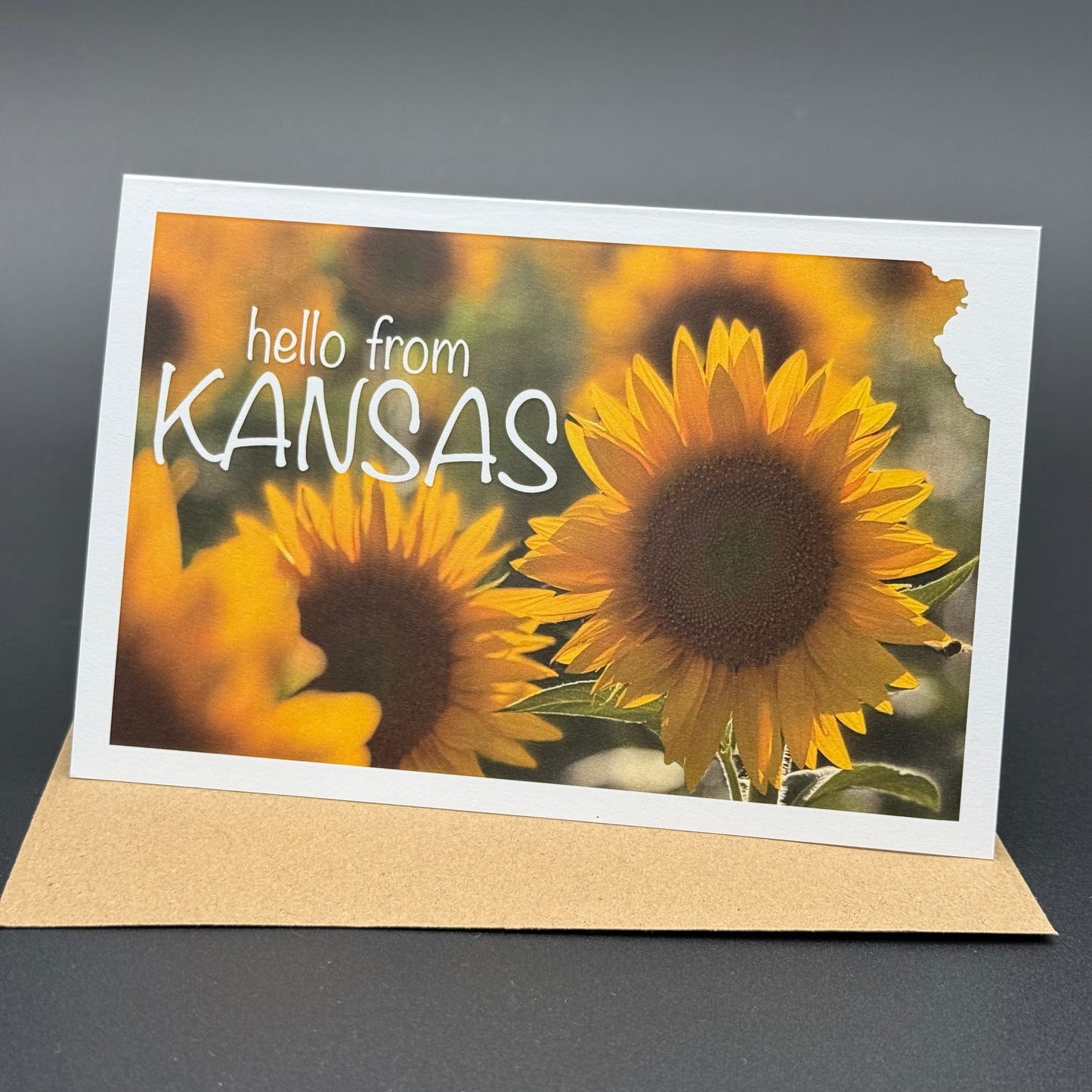 Hello from Kansas Sunflower Greeting Card Set