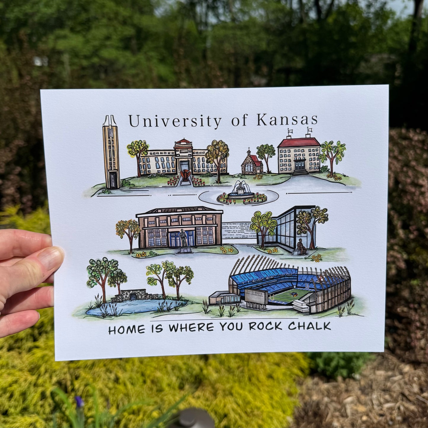 University of Kansas Watercolor Print