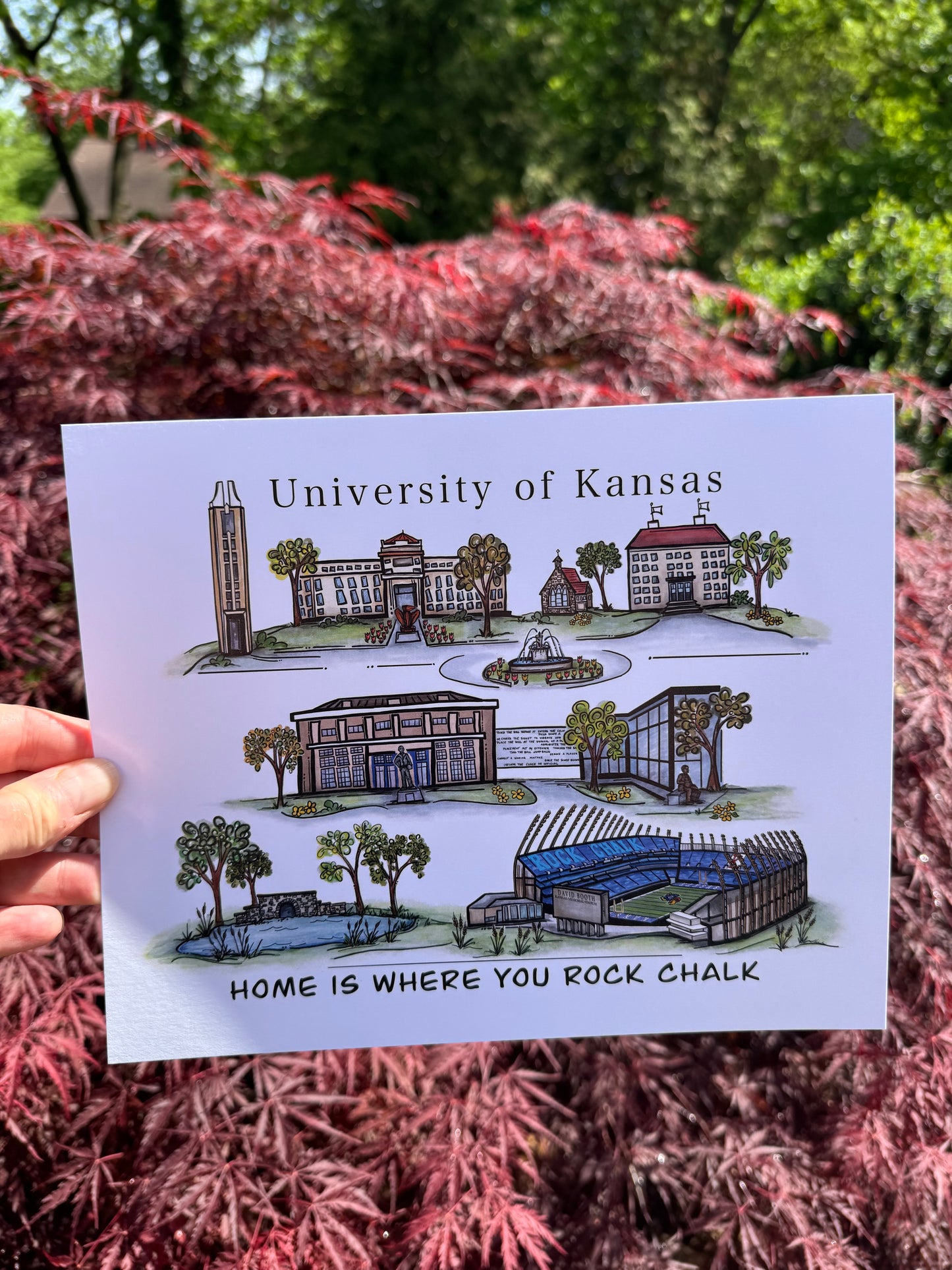 University of Kansas Watercolor Print