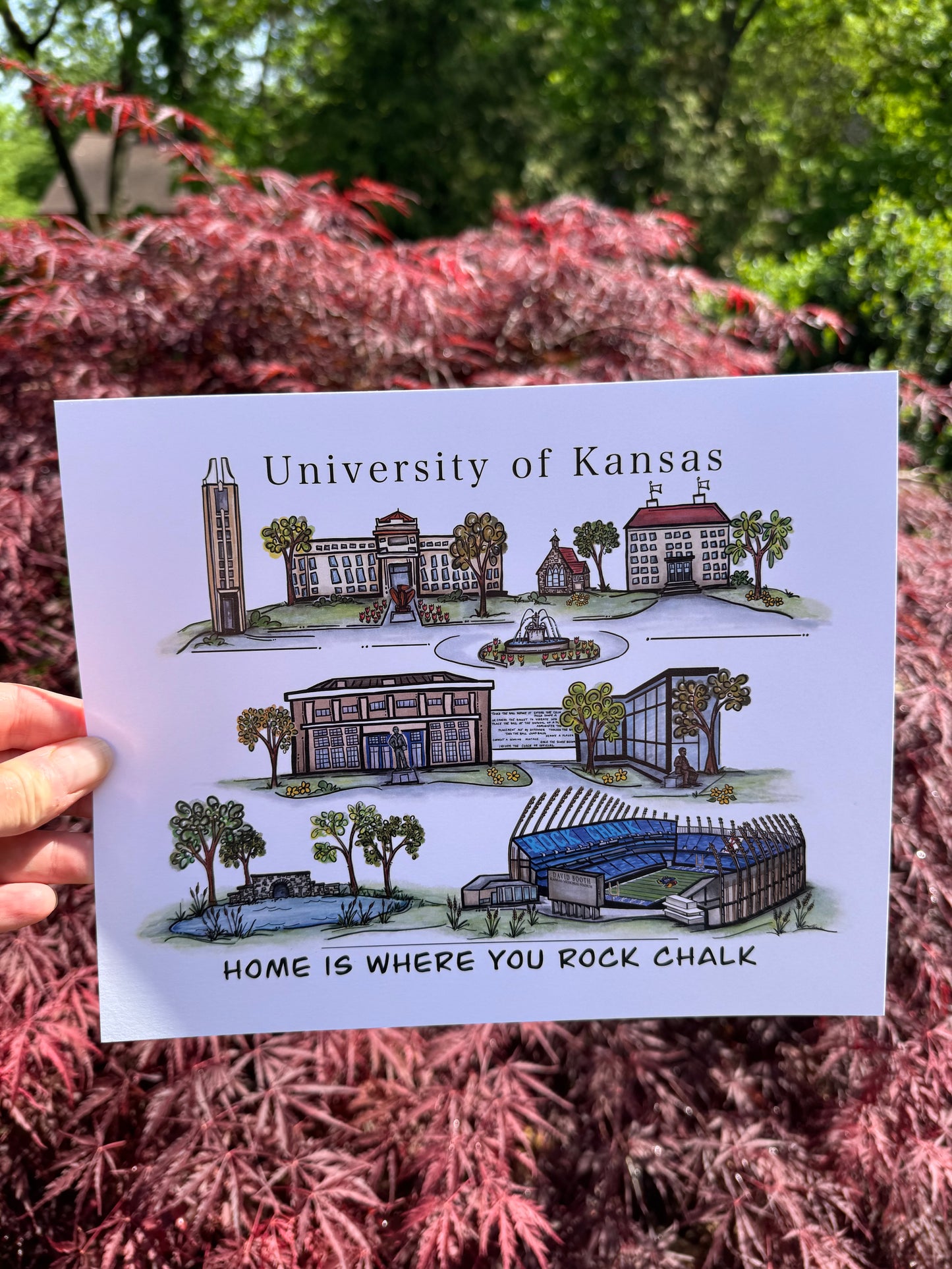 University of Kansas Watercolor Print