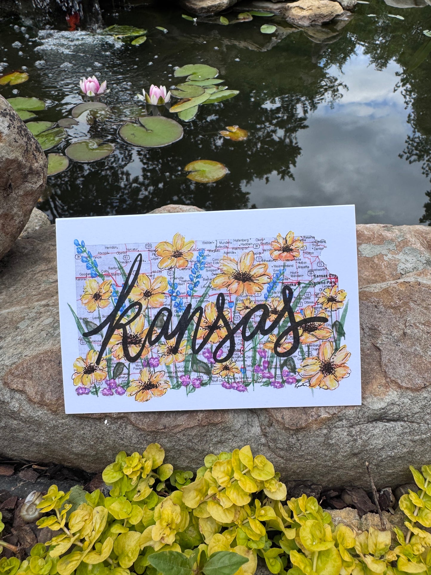 Kansas Wildflowers Greeting Card Set