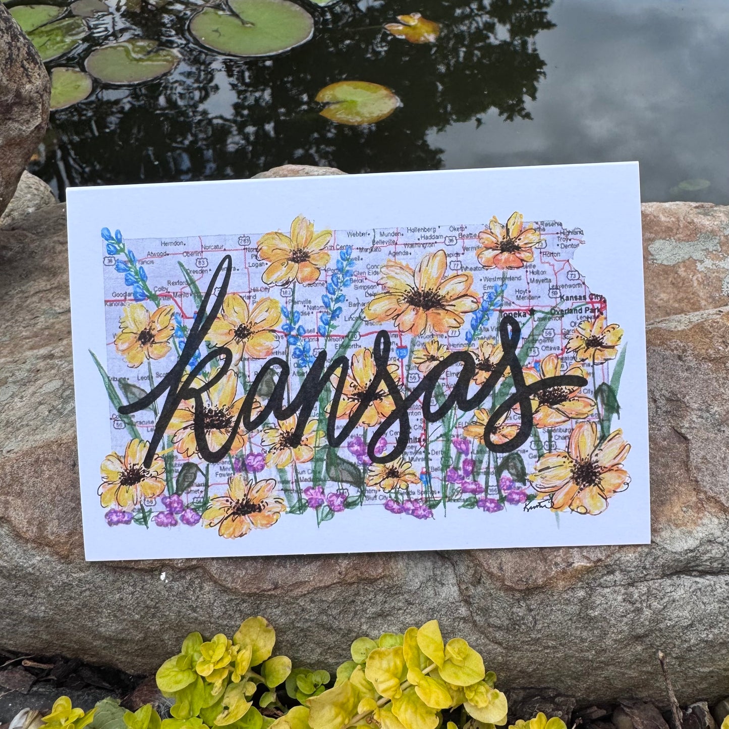 Kansas Wildflowers Greeting Card Set