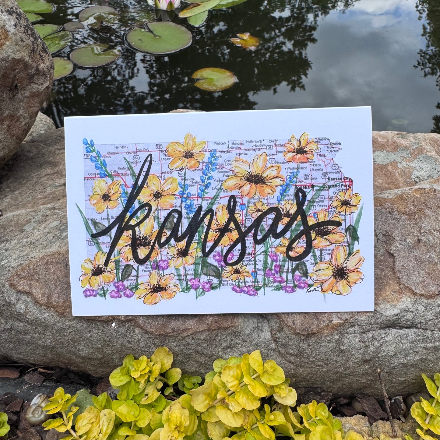 Kansas Wildflowers Greeting Card Set