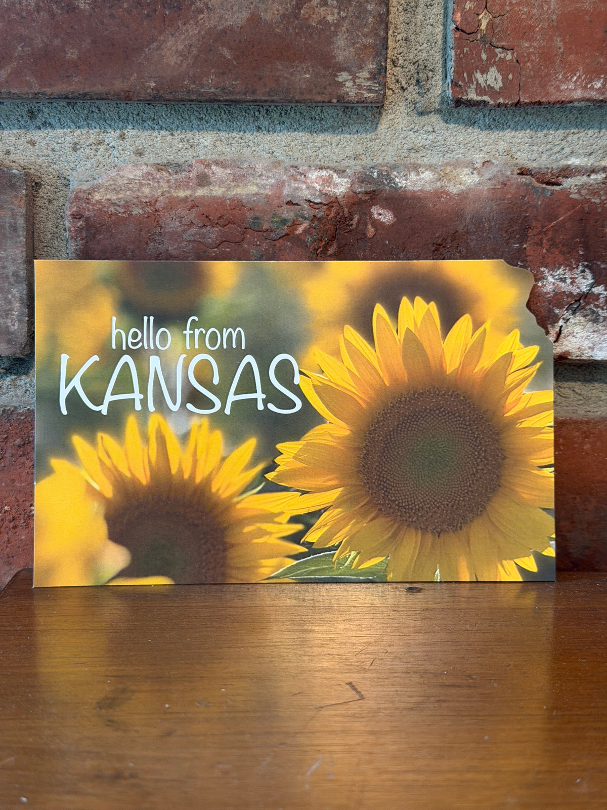 Hello from Kansas Sunflower Postcard