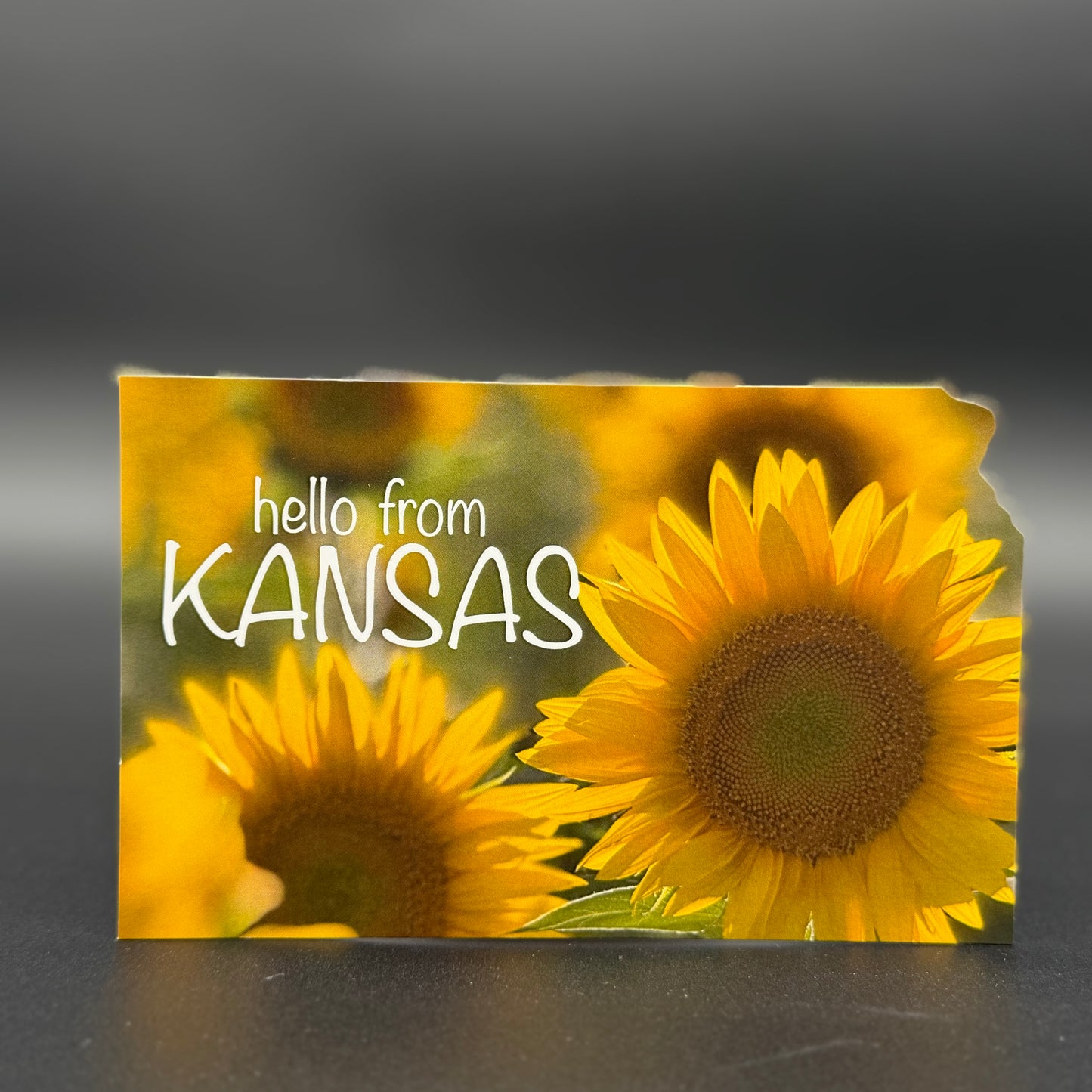 Hello from Kansas Sunflower Postcard