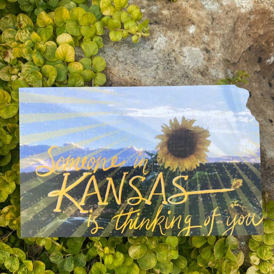 Thinking of you from Kansas Sunflower Field Postcard