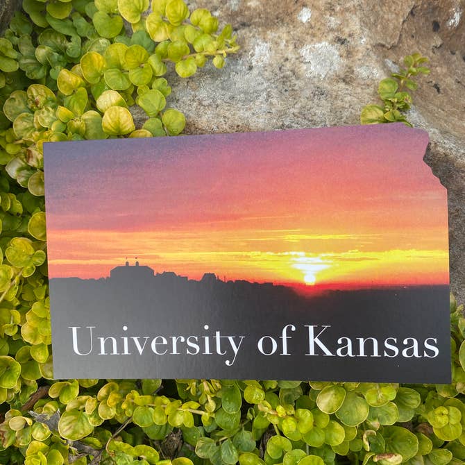 University of Kansas Sunrise Postcard