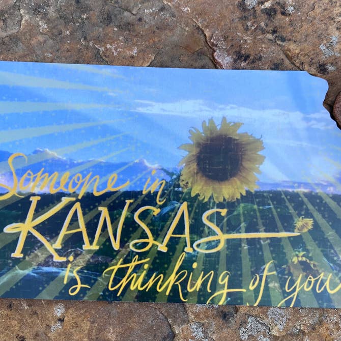 Thinking of you from Kansas Sunflower Field Postcard