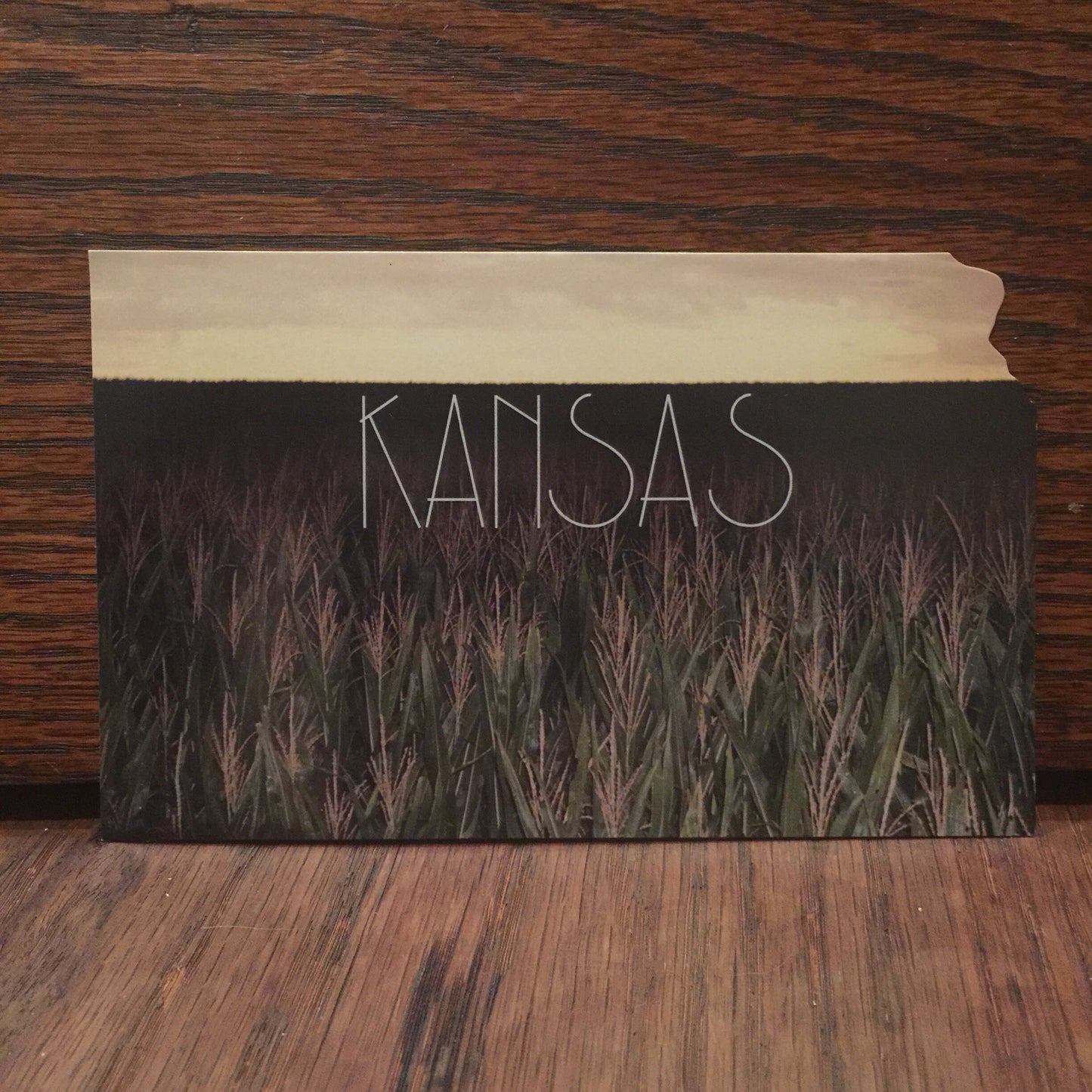 KANSAS field Postcard