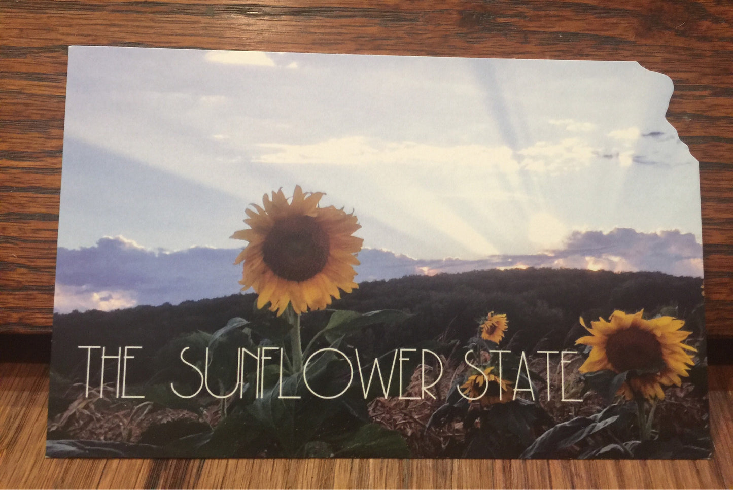 "The Sunflower State" Kansas Sunset Postcard