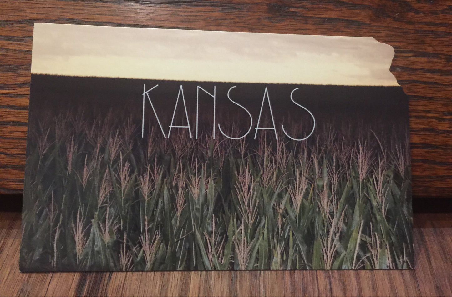 KANSAS field Postcard