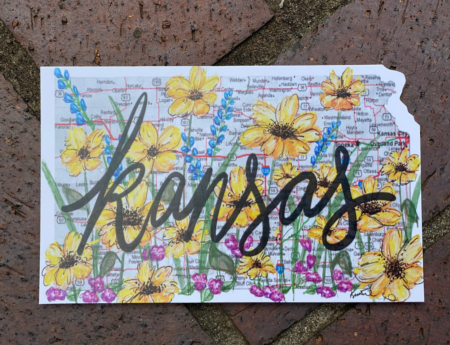 Kansas Wildflowers Postcards