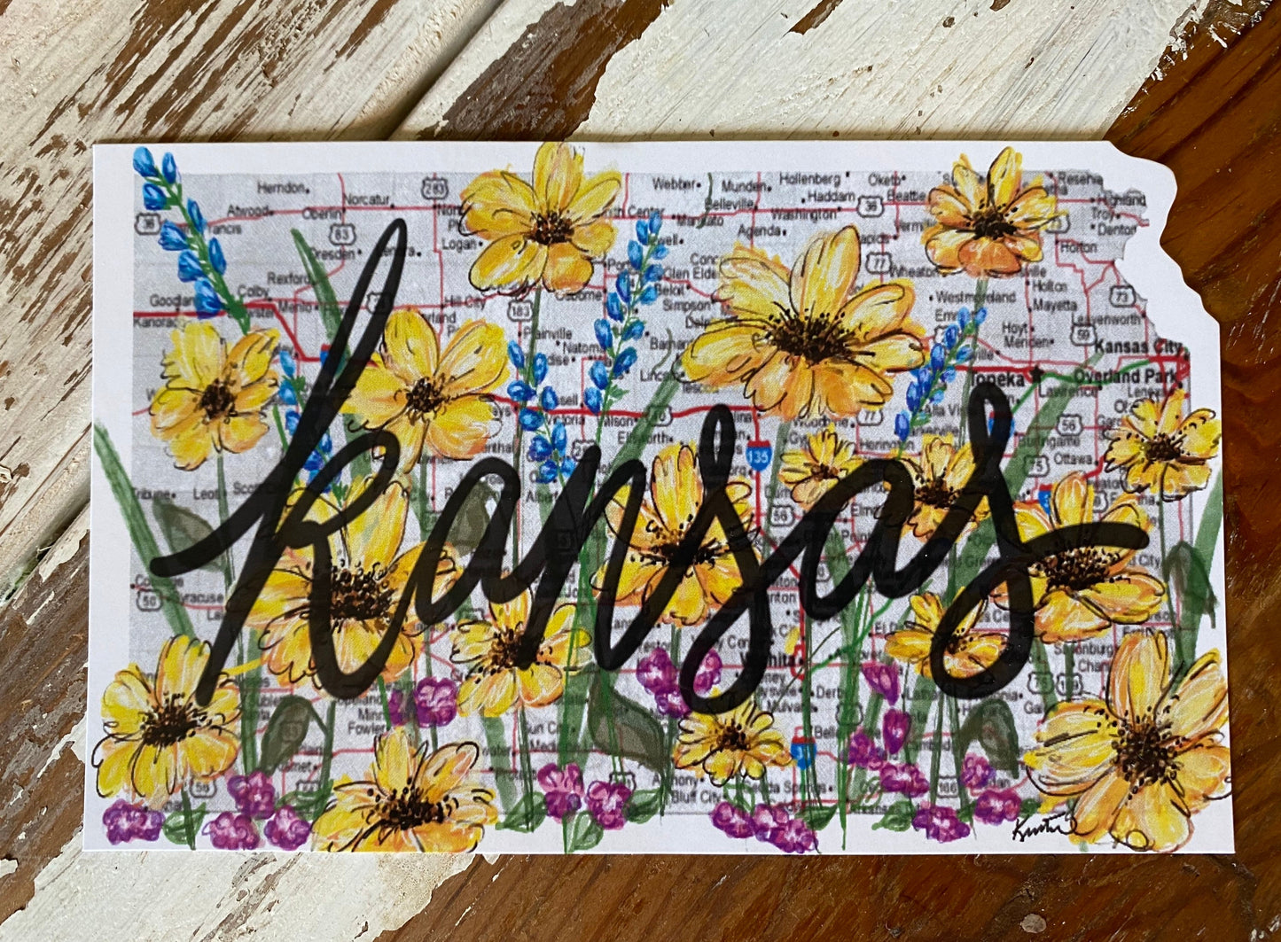 Kansas Wildflowers Postcards