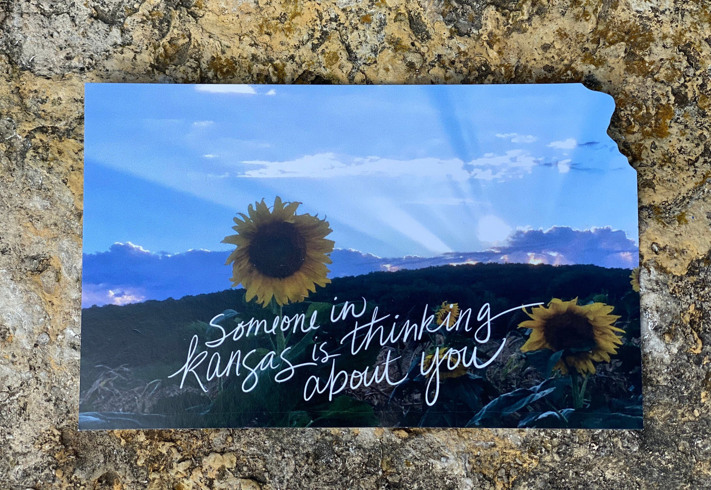 "Someone in Kansas is Thinking About You" Kansas Sunset postcard