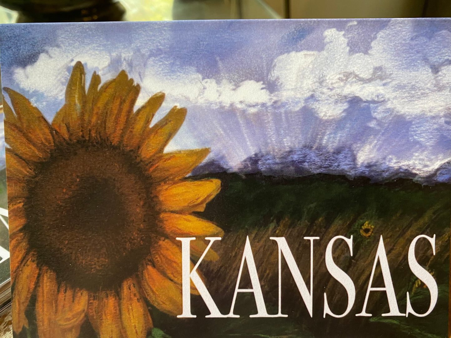 Kansas Painted Sunflower greeting card