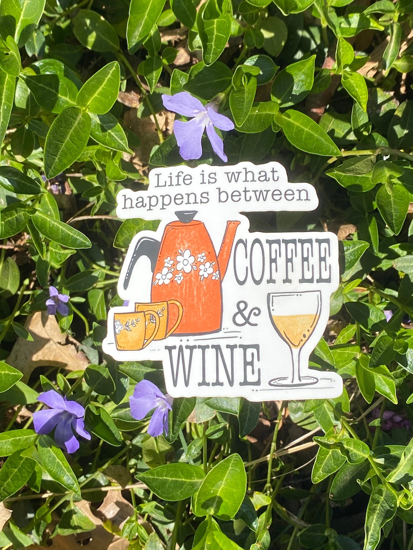 "Life is what happens between Coffee and Wine"- sticker