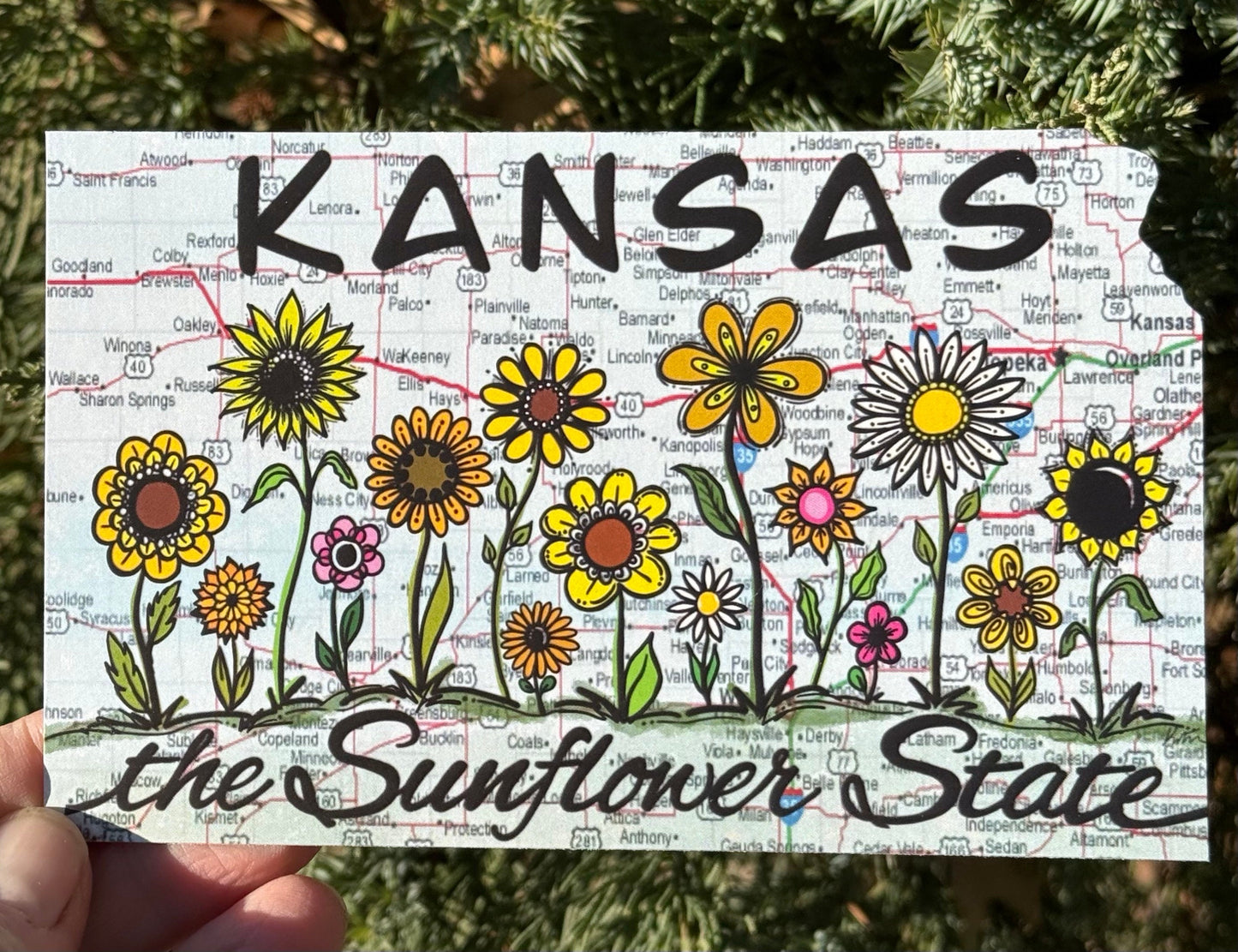 Kansas Map-The Sunflower State Postcard