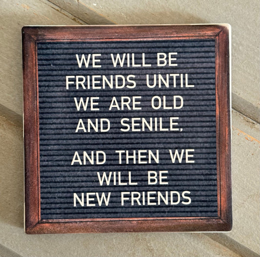 "We Will Be Friends Until We Are Old and Senile" Stone Coaster